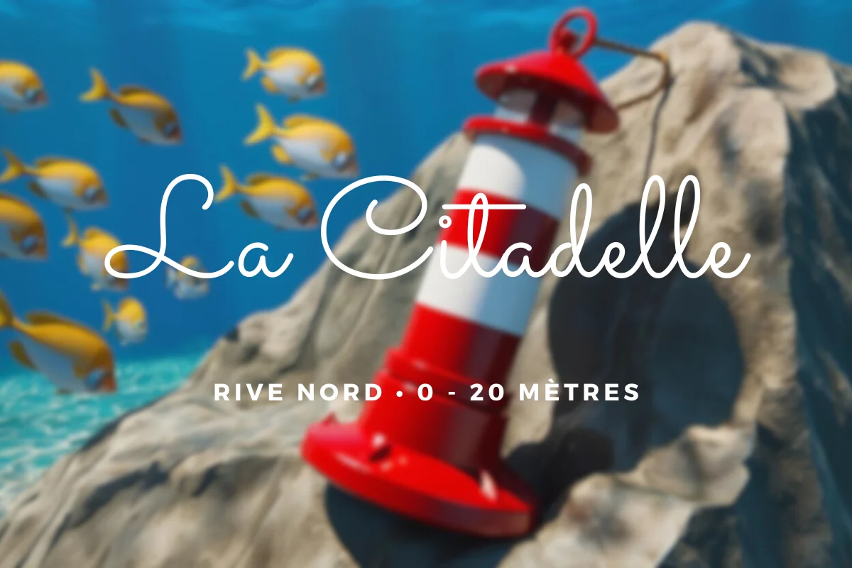 La Citadelle