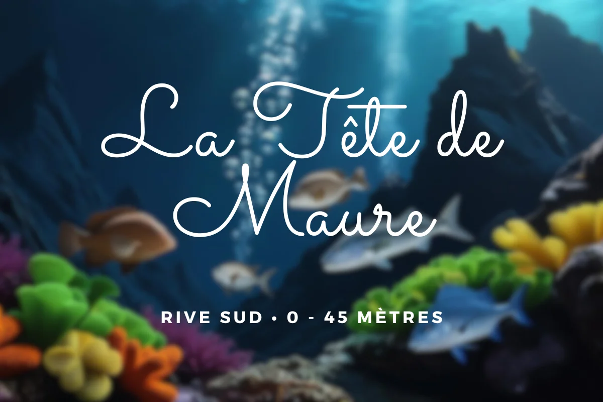 La tête de maure