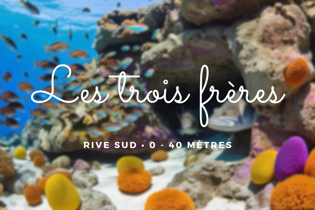 Les trois frères