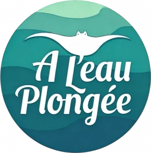 A l 'eau plongée - Ajaccio