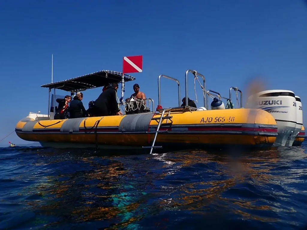 snorkeling- golf d'ajaccio